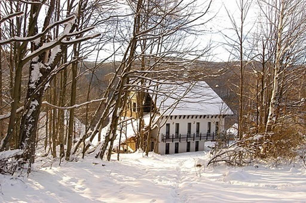 Franzdorf Alpin Văliug